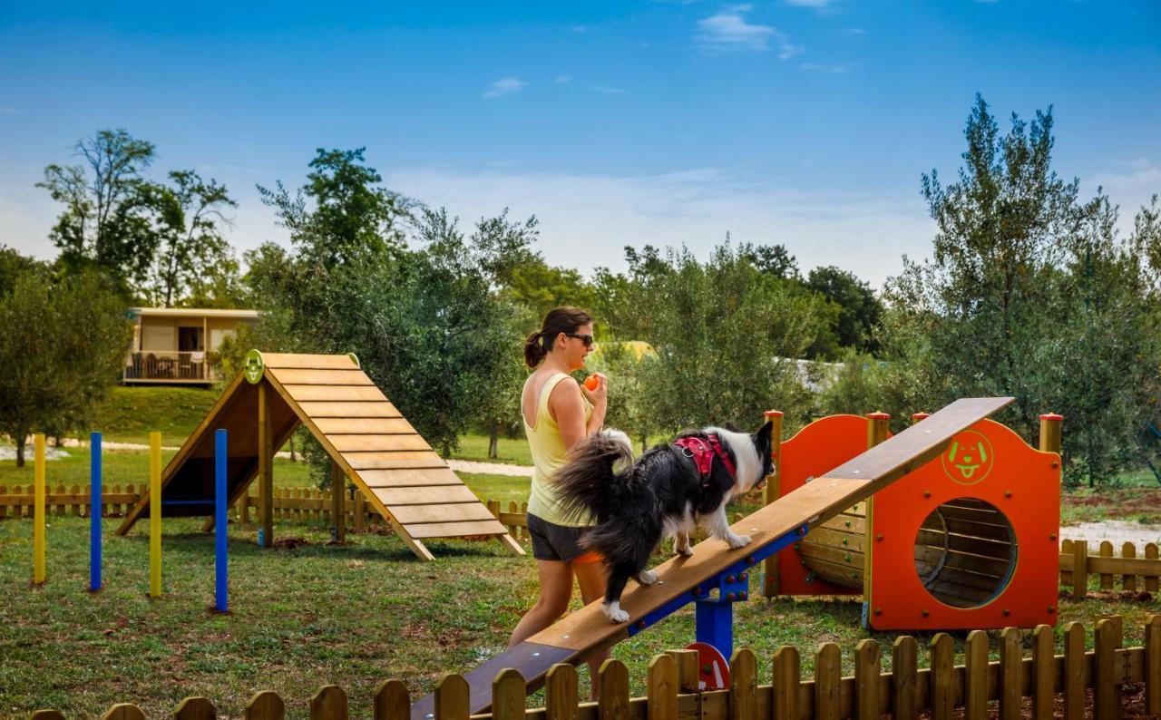 Sunflower Camping Mareda المظهر الخارجي الصورة